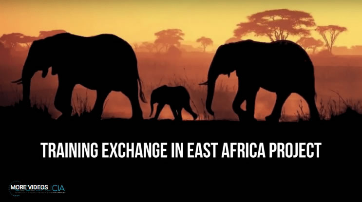 Training exchange in east Africa